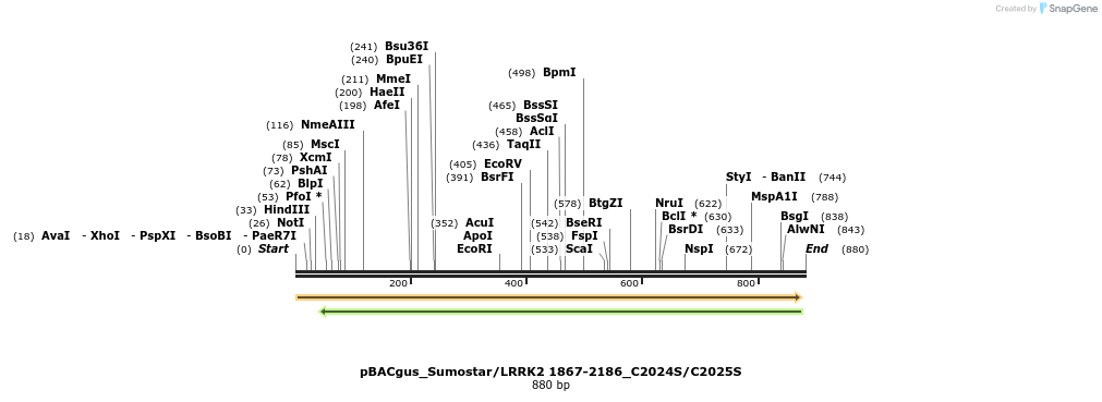 53031_map