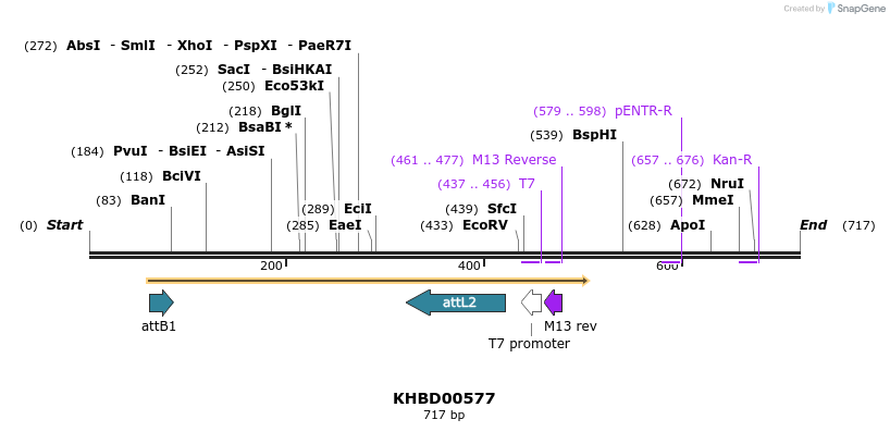 53032_map