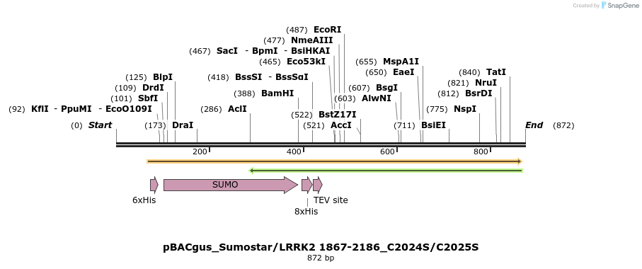 53035_map