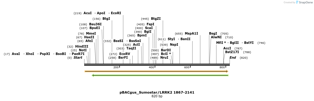 53038_map