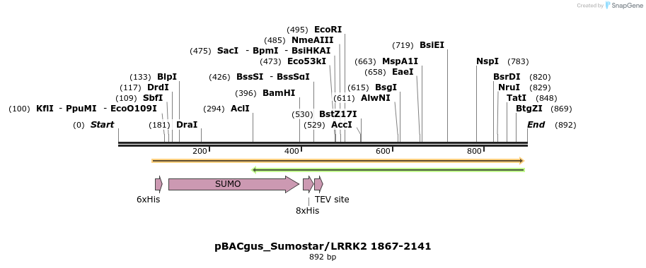 53039_map
