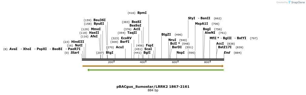 53040_map