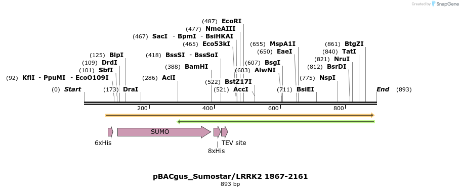 53041_map