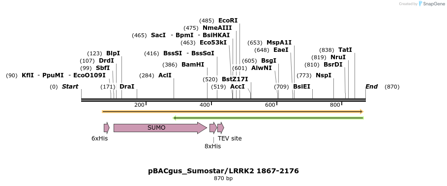 53043_map
