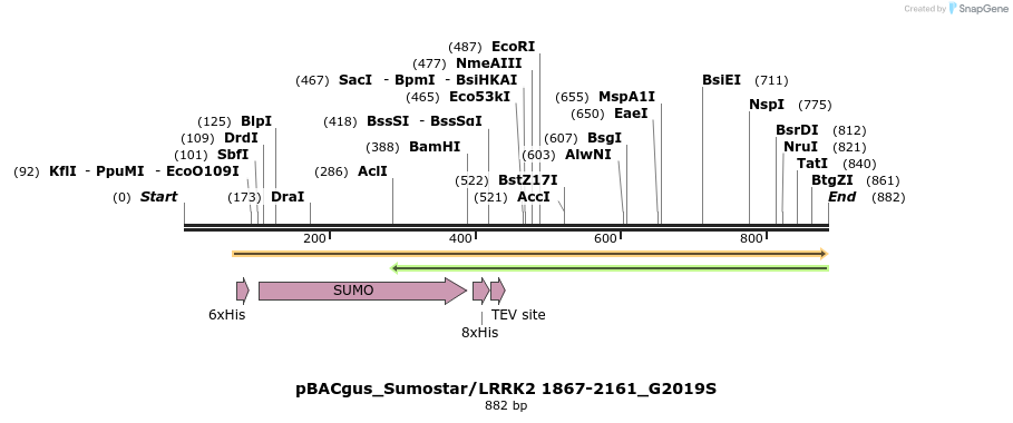 53047_map