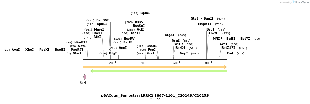 53048_map