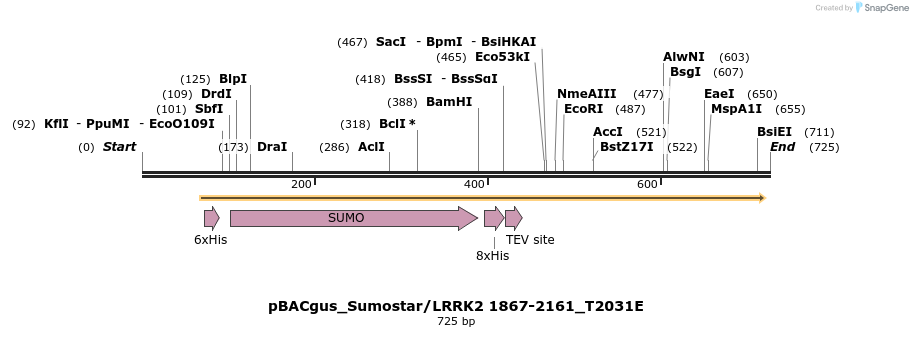 53051_map