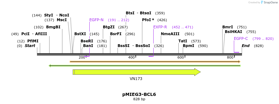 53052_map