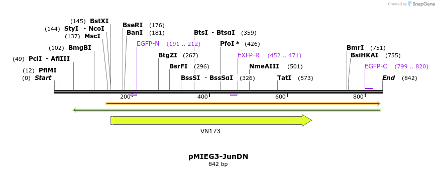 53053_map