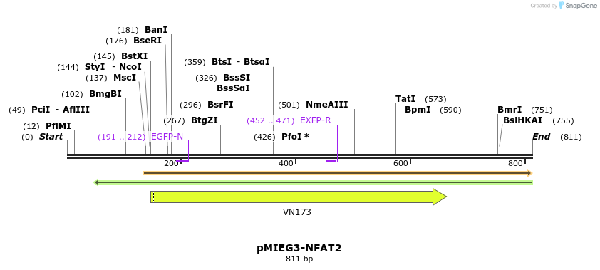 53056_map