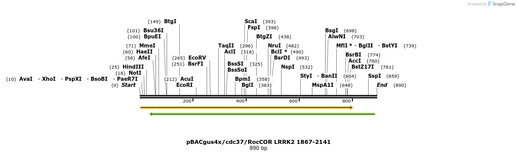 53063_map
