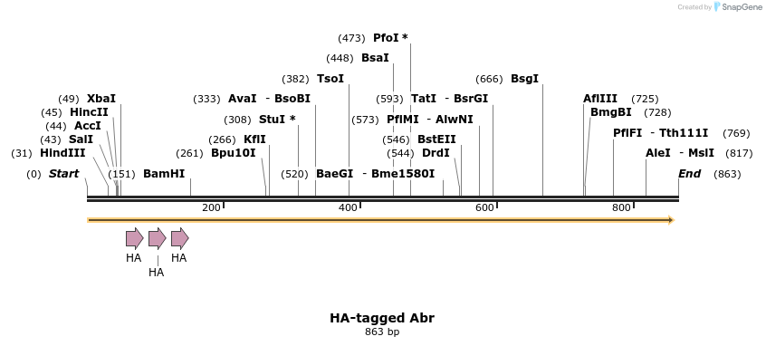 53069_map