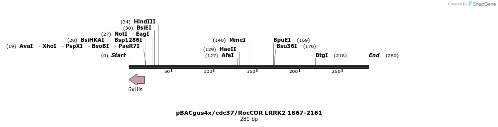 53070_map