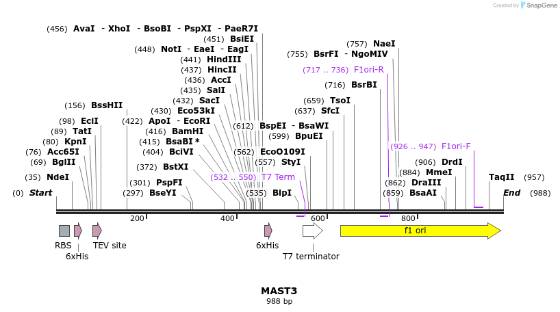 53073_map