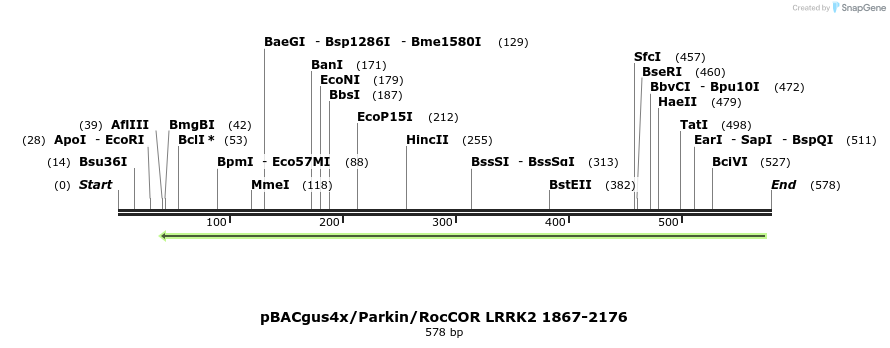 53078_map
