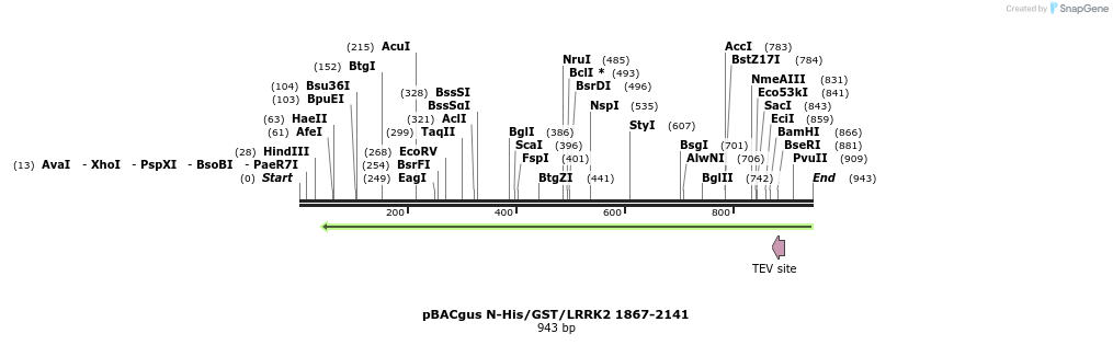 53084_map