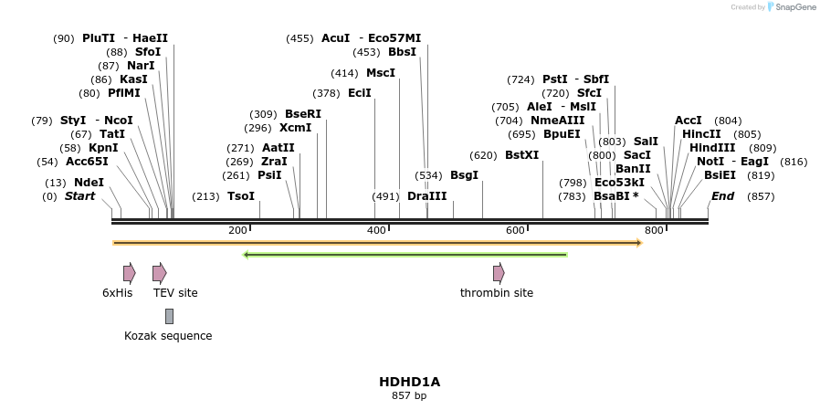 53086_map
