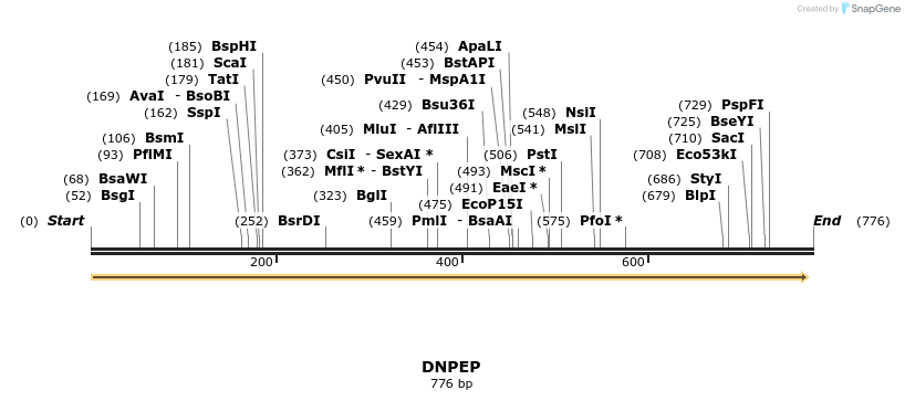 53087_map