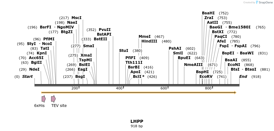 53091_map