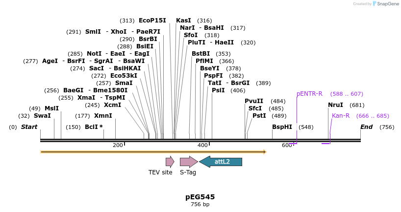 53093_map
