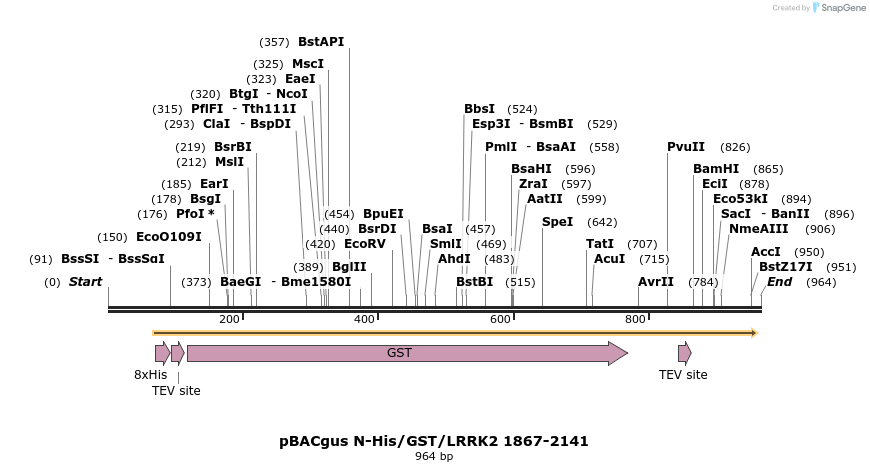 53098_map