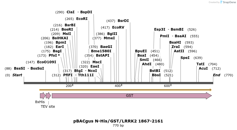 53100_map