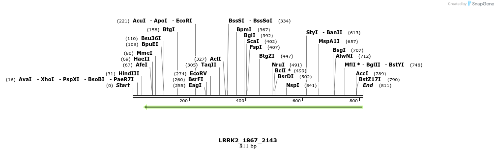 53104_map