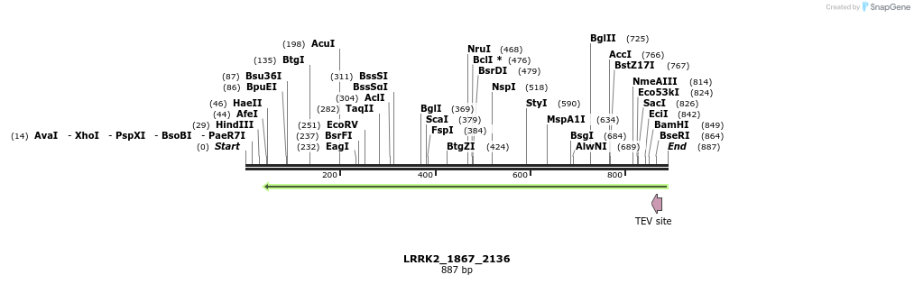 53106_map