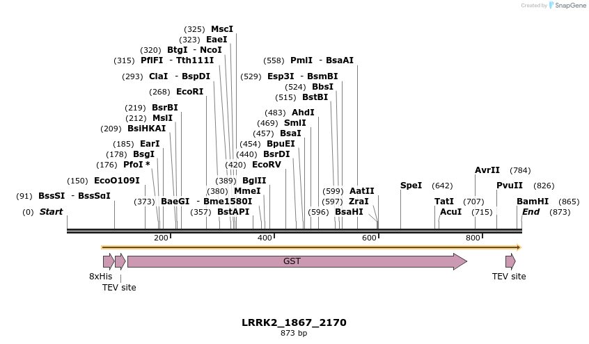 53111_map