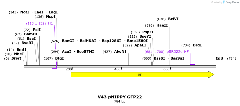 53114_map