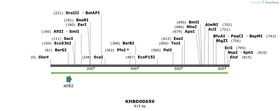 53117_map