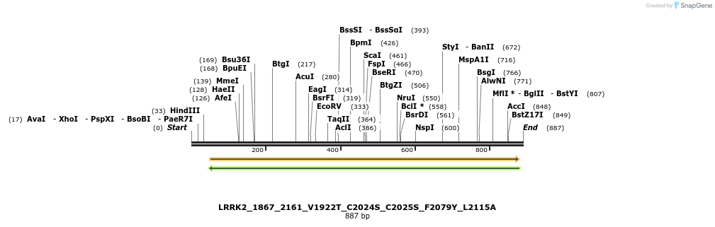 53119_map