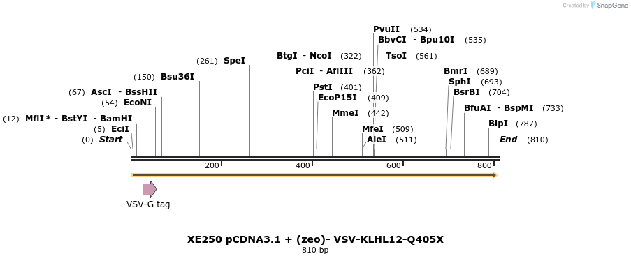 53120_map