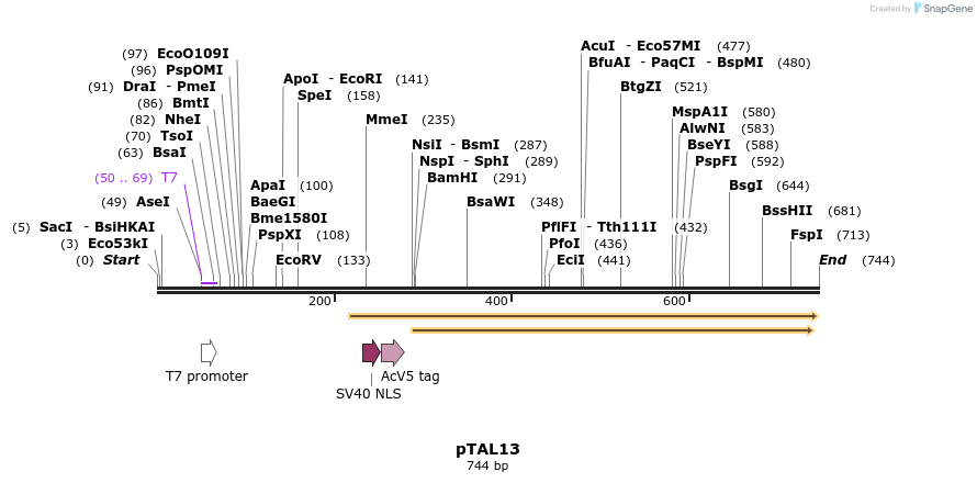53123_map