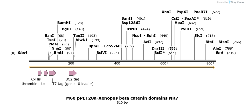 53124_map