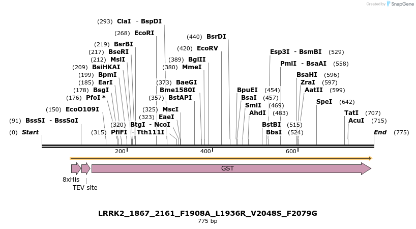 53129_map