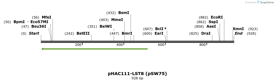 53130_map