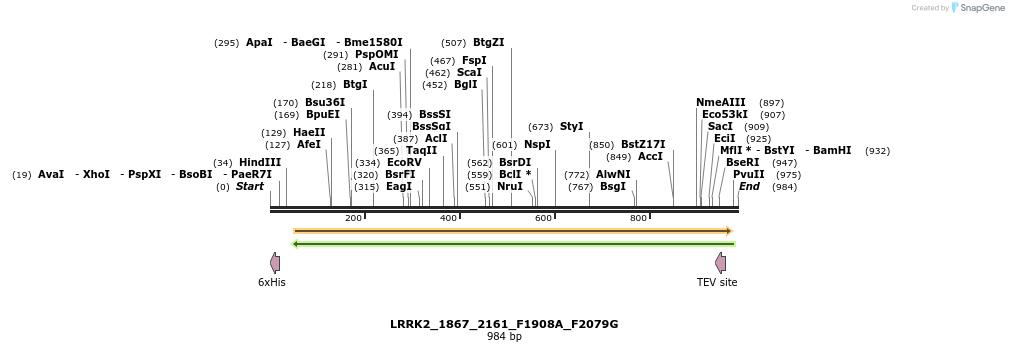 53133_map
