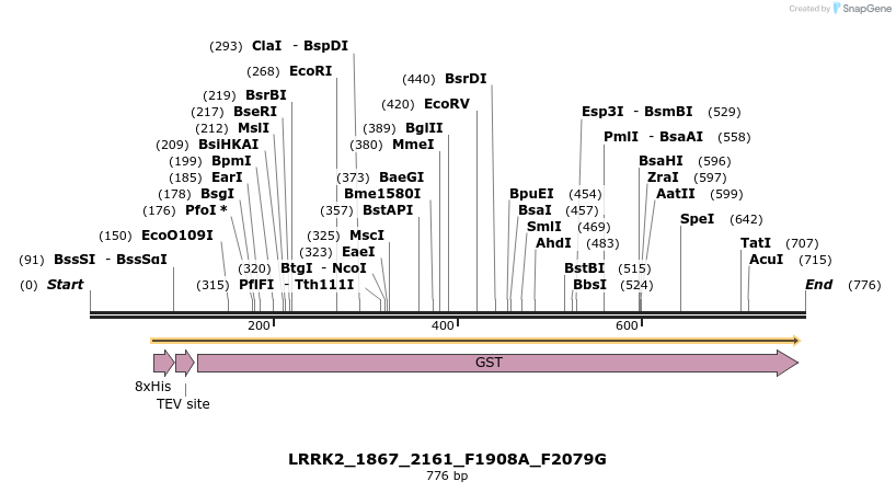 53134_map