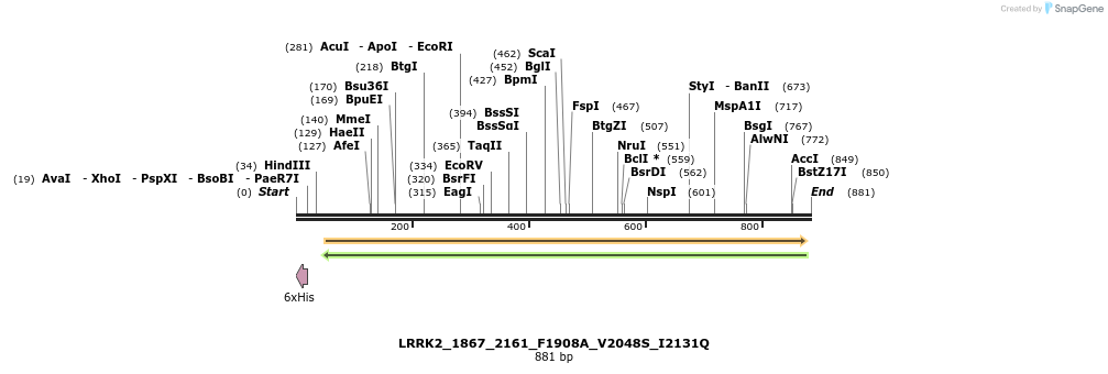 53136_map