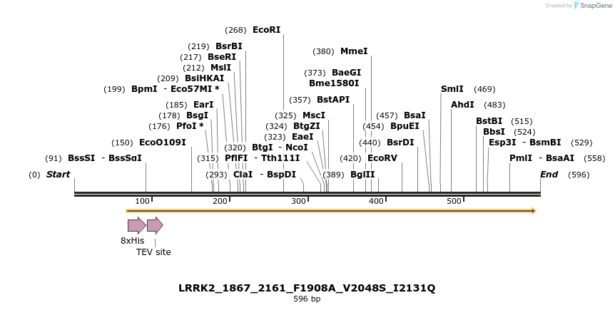 53138_map