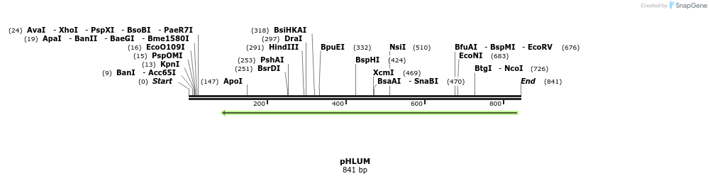 53140_map