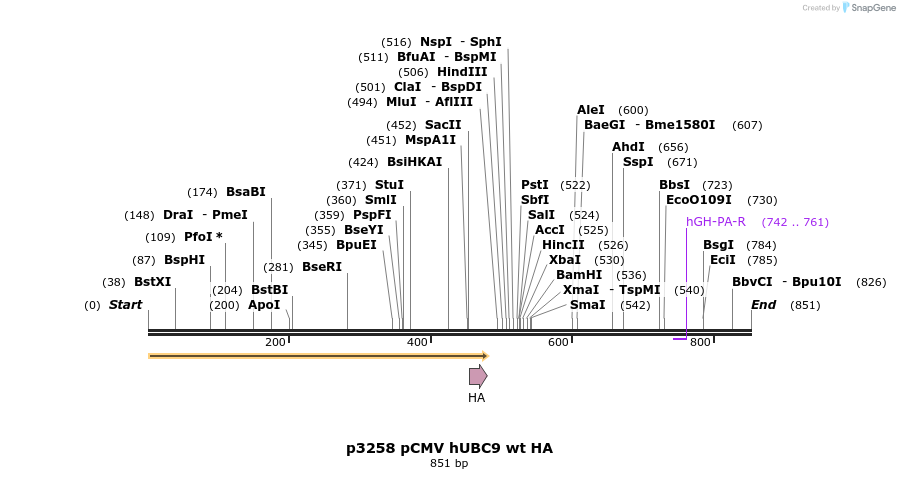53142_map