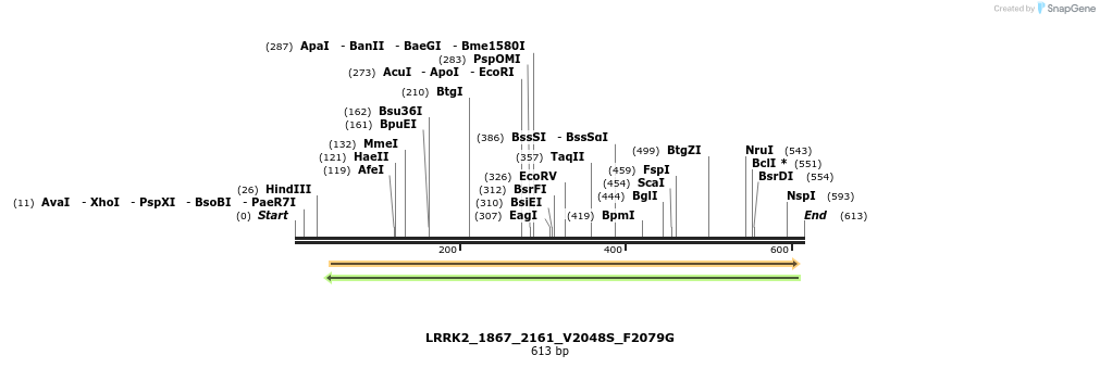 53143_map