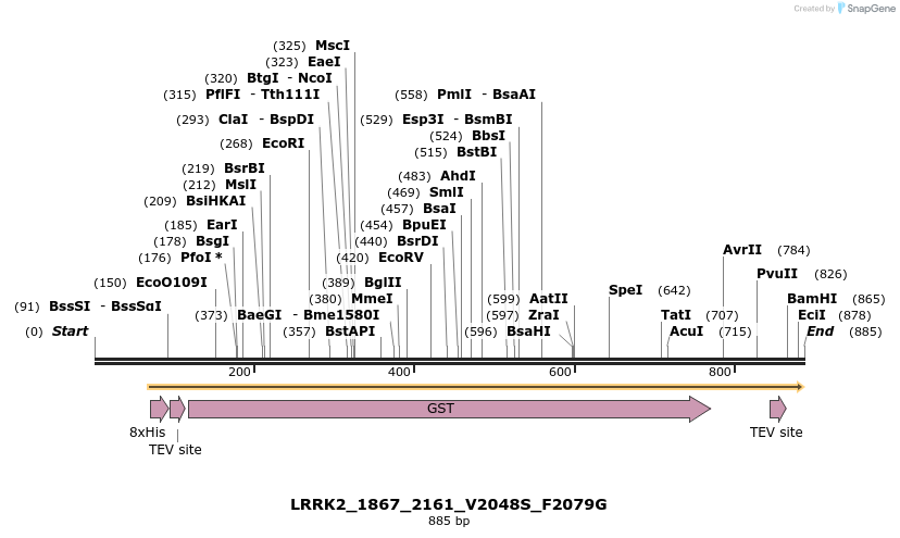 53144_map