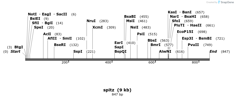 53150_map