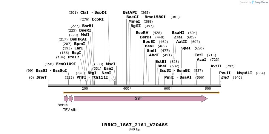 53151_map