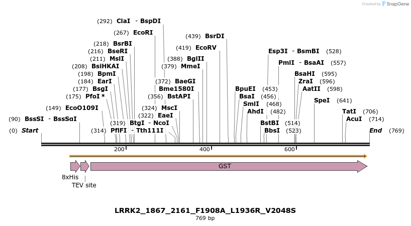 53153_map