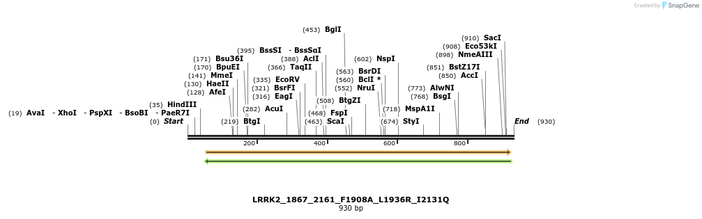 53156_map