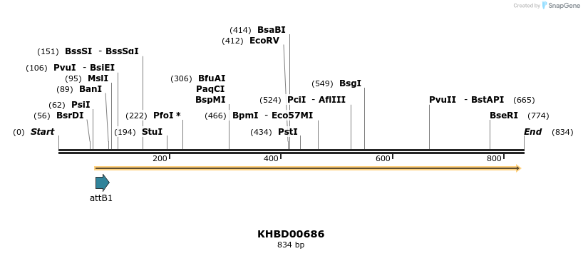 53159_map